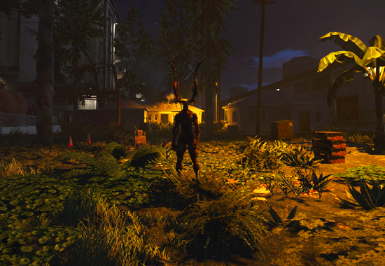 Galeria RaiderZ 3